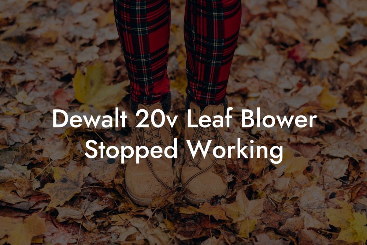 Dewalt 20v Leaf Blower Stopped Working