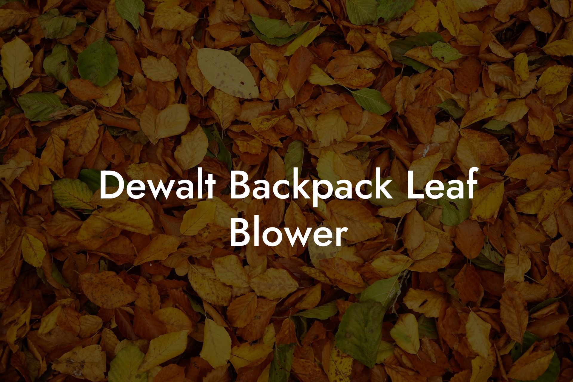 Dewalt Backpack Leaf Blower