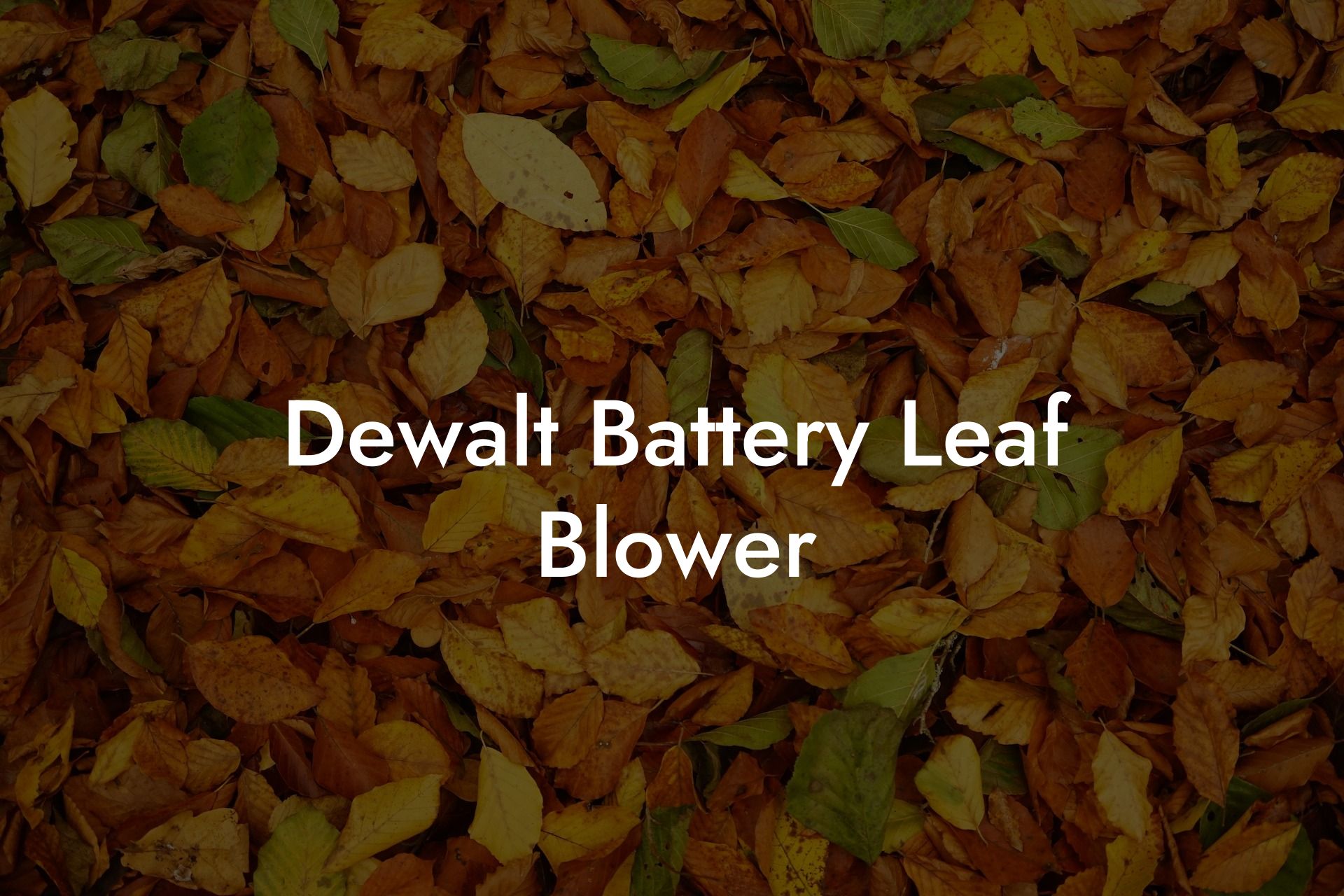 Dewalt Battery Leaf Blower