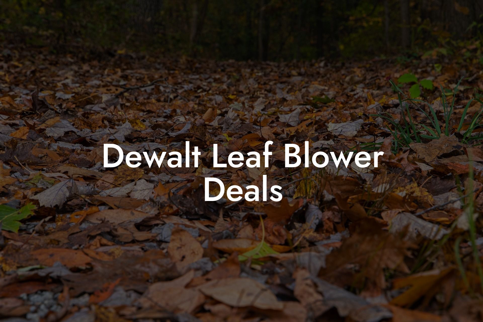 Dewalt Leaf Blower Deals