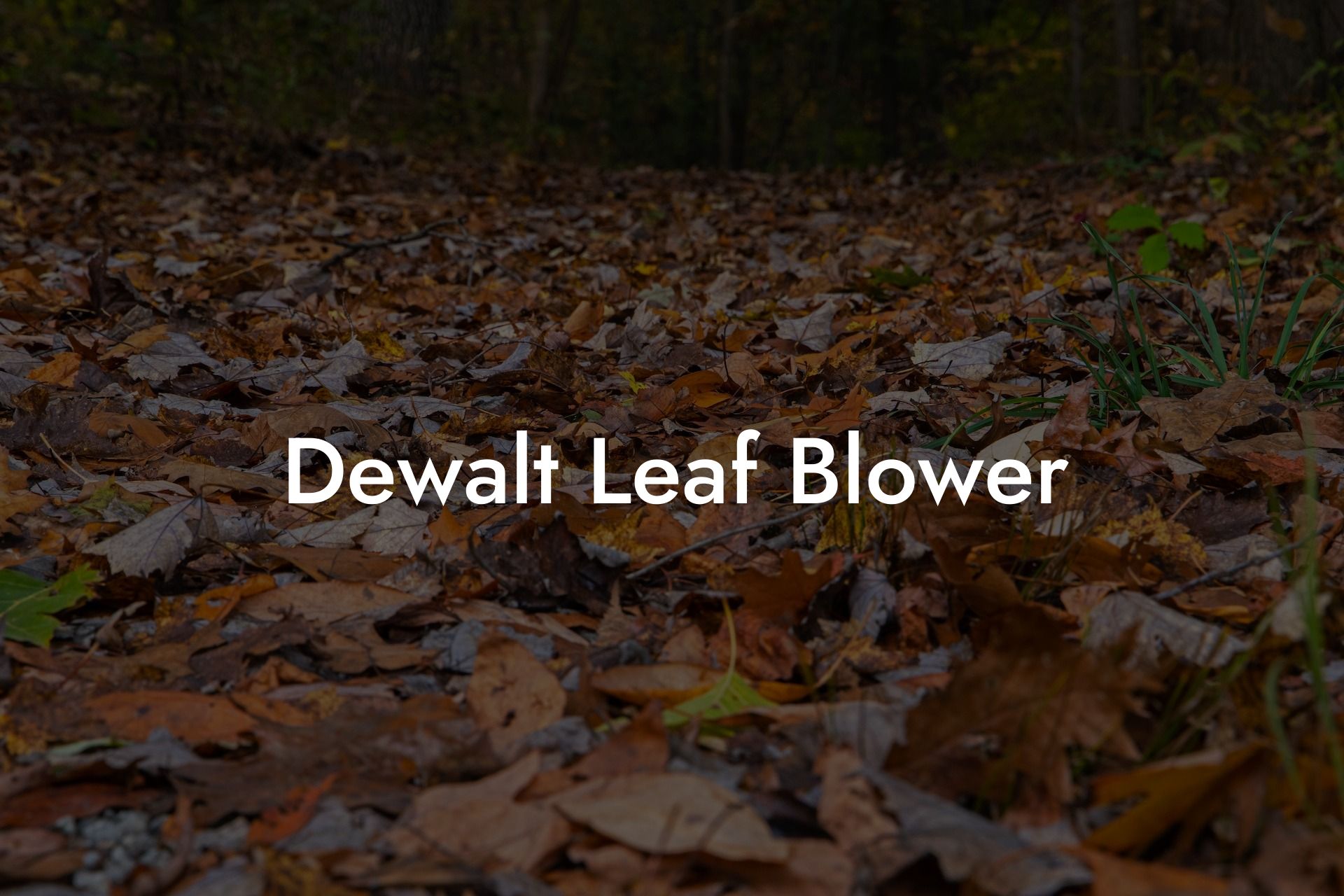 Dewalt Leaf Blower