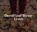 Dewalt Leaf Blower Lowes