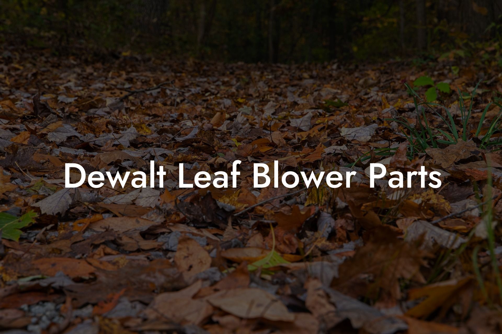 Dewalt Leaf Blower Parts