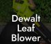 Dewalt Leaf Blower Review