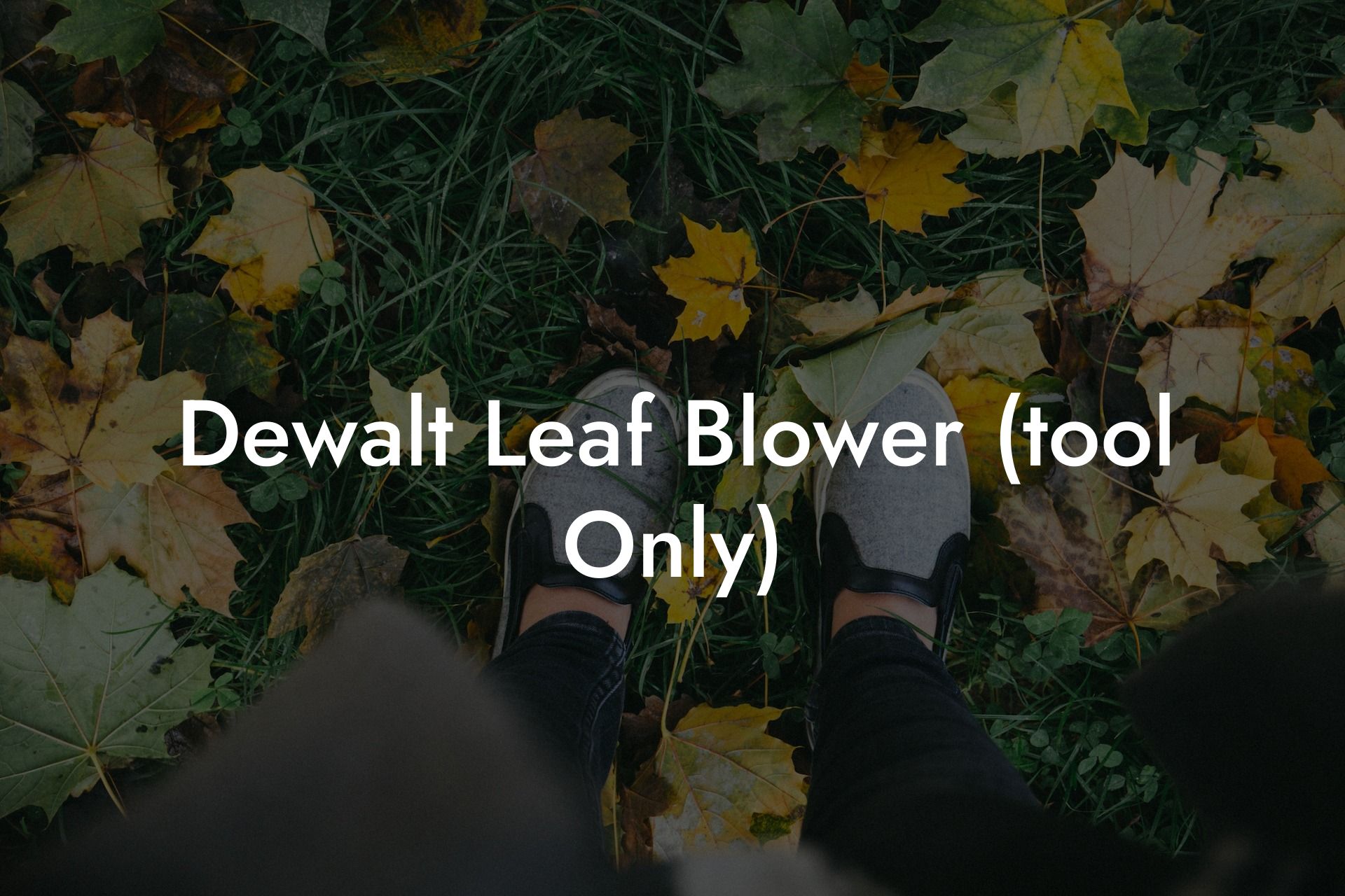 Dewalt Leaf Blower Tool Only