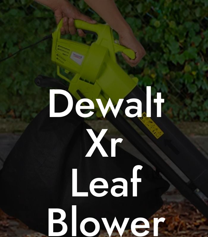 Dewalt Xr Leaf Blower