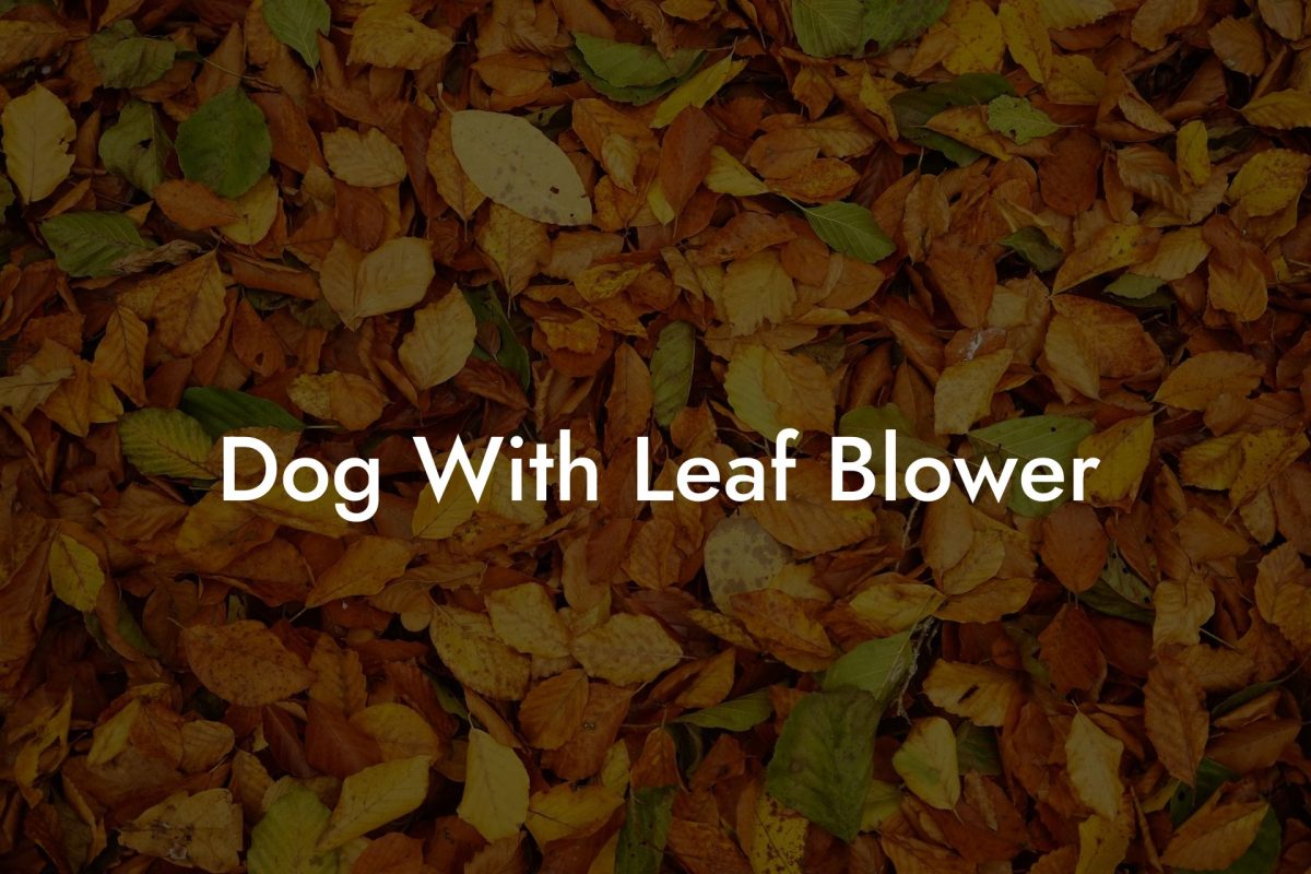 Dog With Leaf Blower