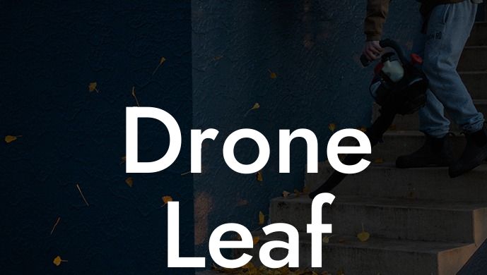 Drone Leaf Blower