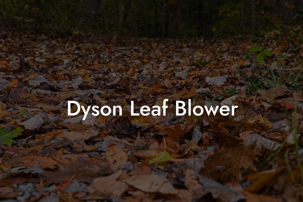 Dyson Leaf Blower