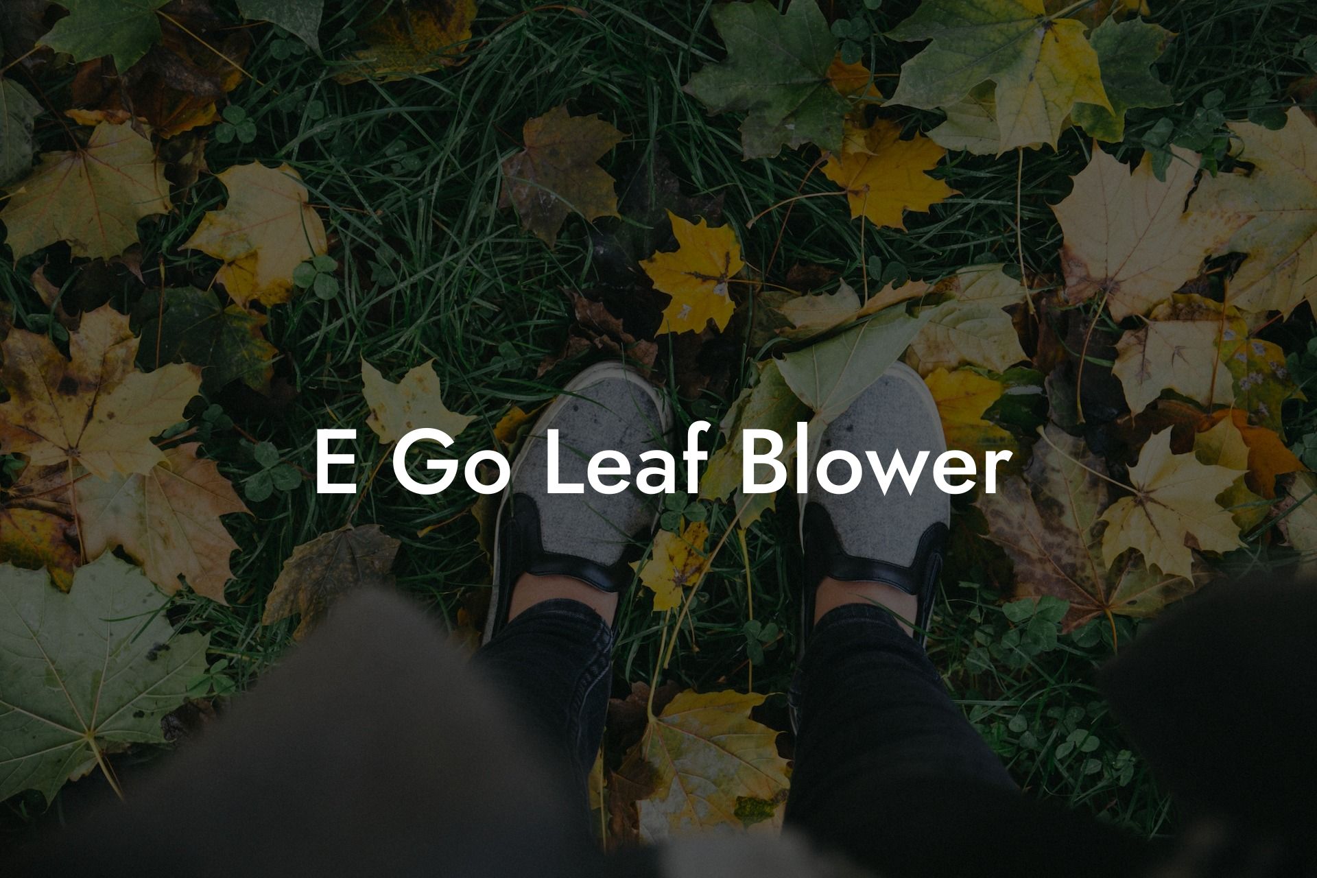 E Go Leaf Blower