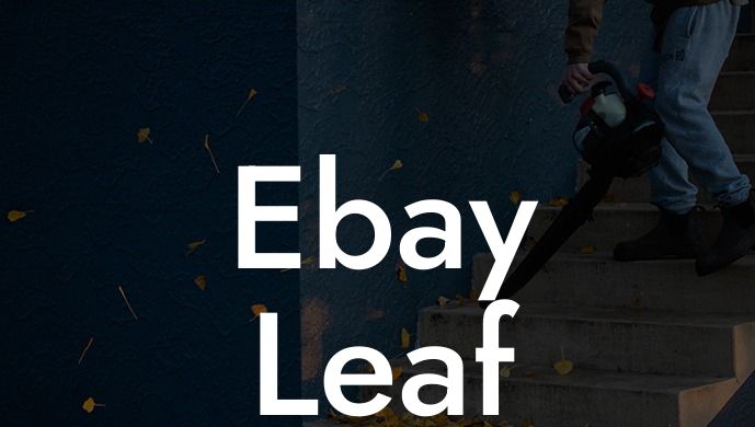 Ebay Leaf Blower