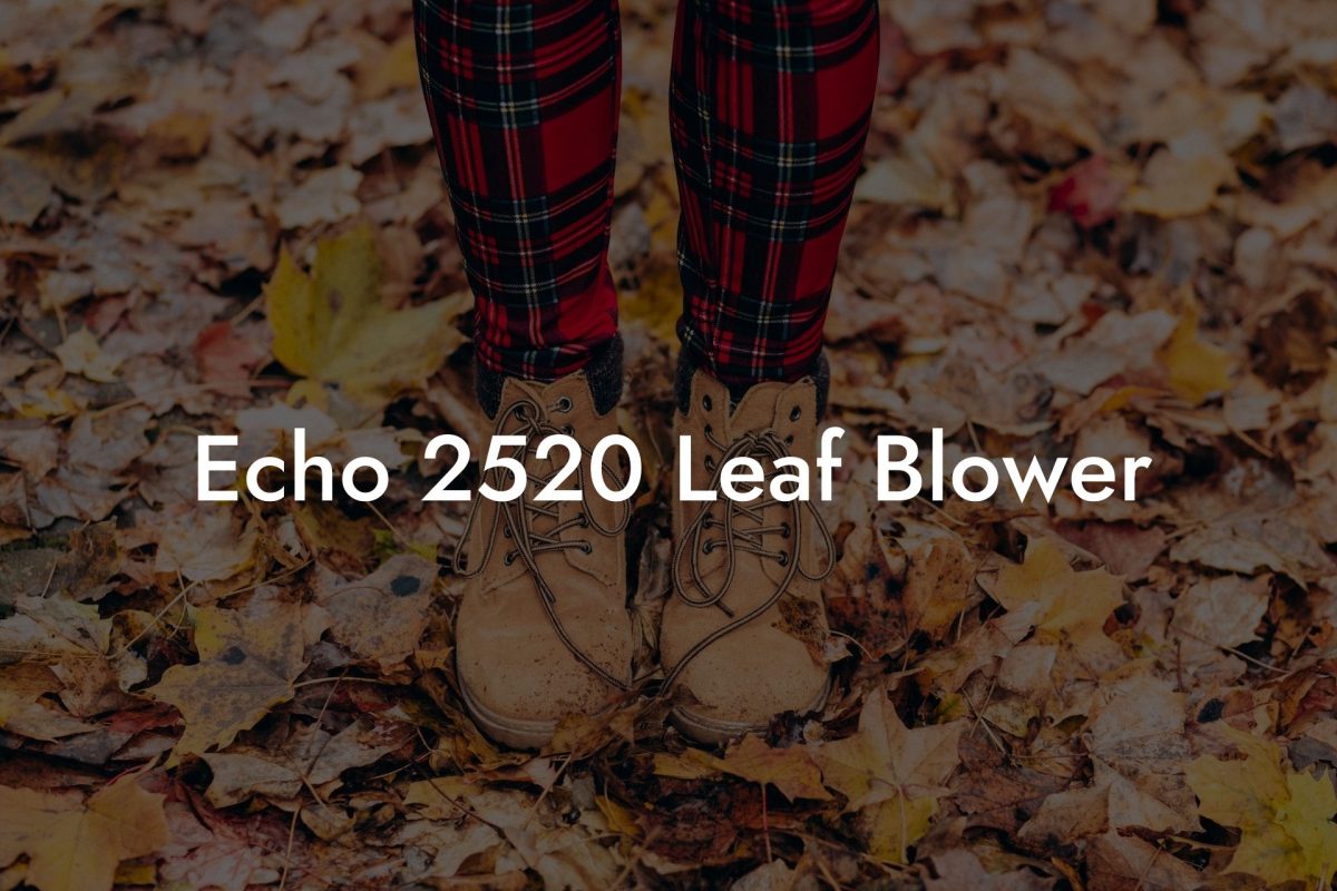 Echo 2520 Leaf Blower