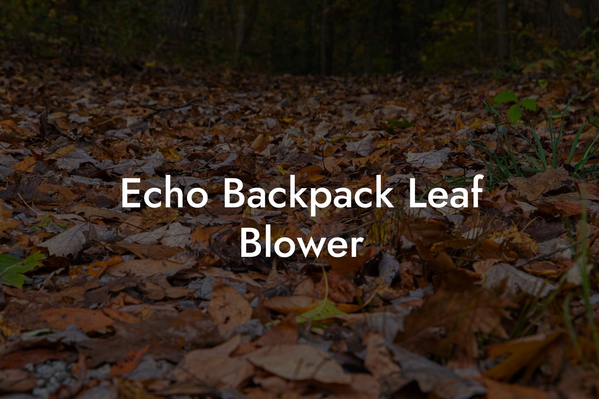 Echo Backpack Leaf Blower