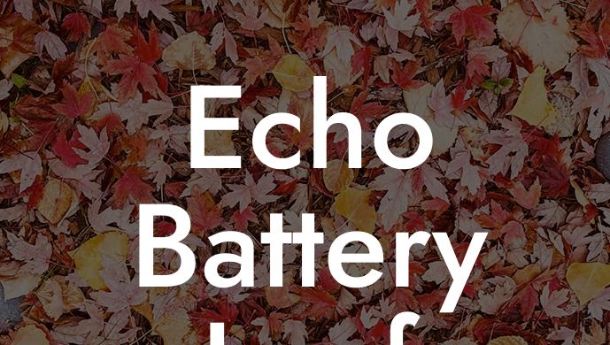 Echo Battery Leaf Blower