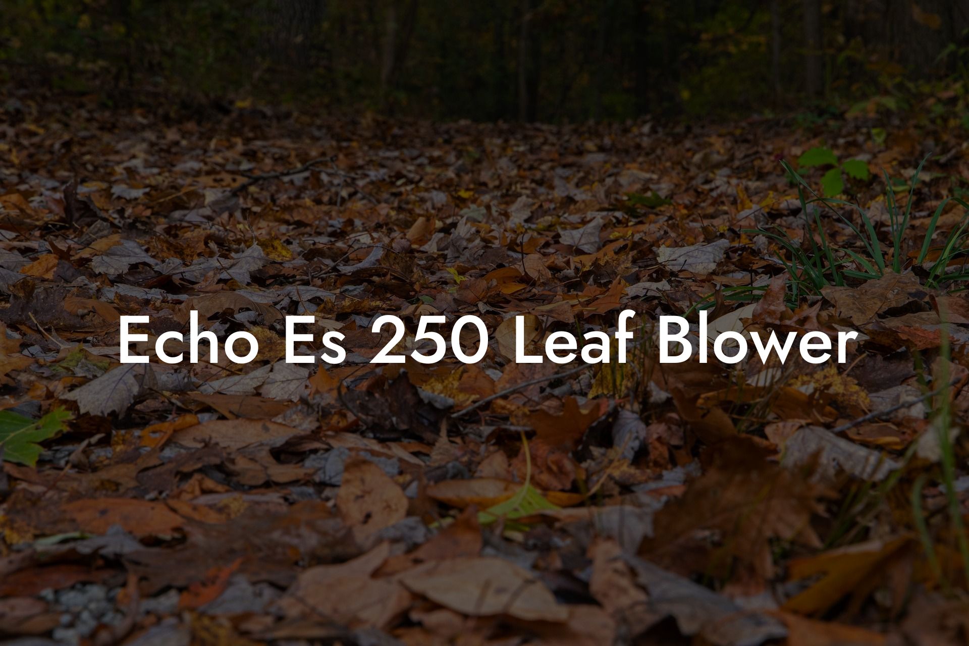 Echo Es 250 Leaf Blower