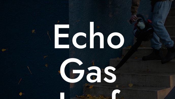 Echo Gas Leaf Blower