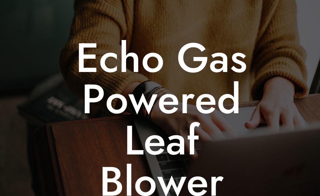 Echo Gas Powered Leaf Blower