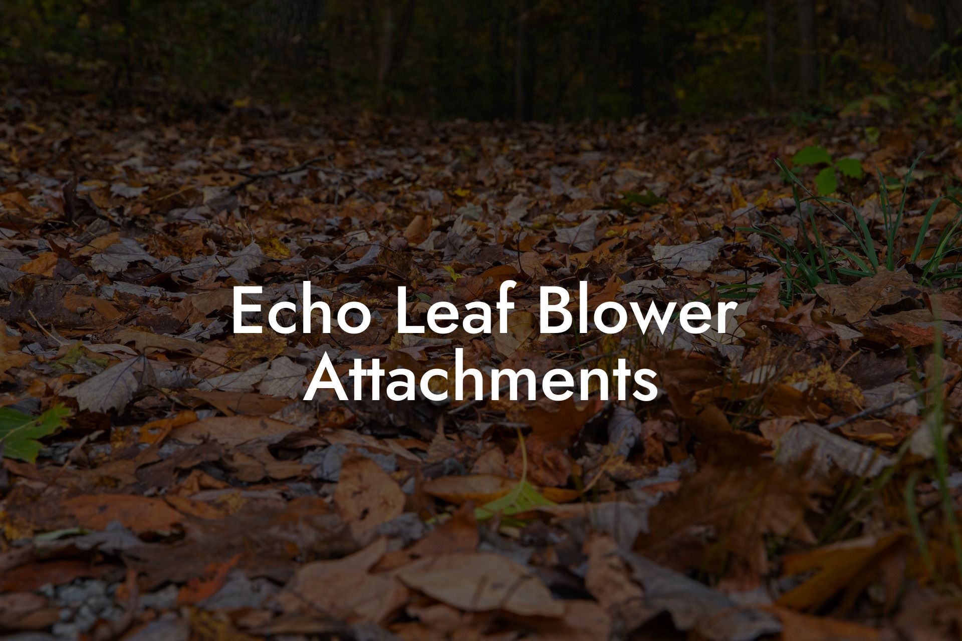 Echo Leaf Blower Attachments