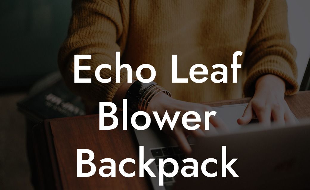 Echo Leaf Blower Backpack