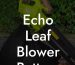 Echo Leaf Blower Battery 58v