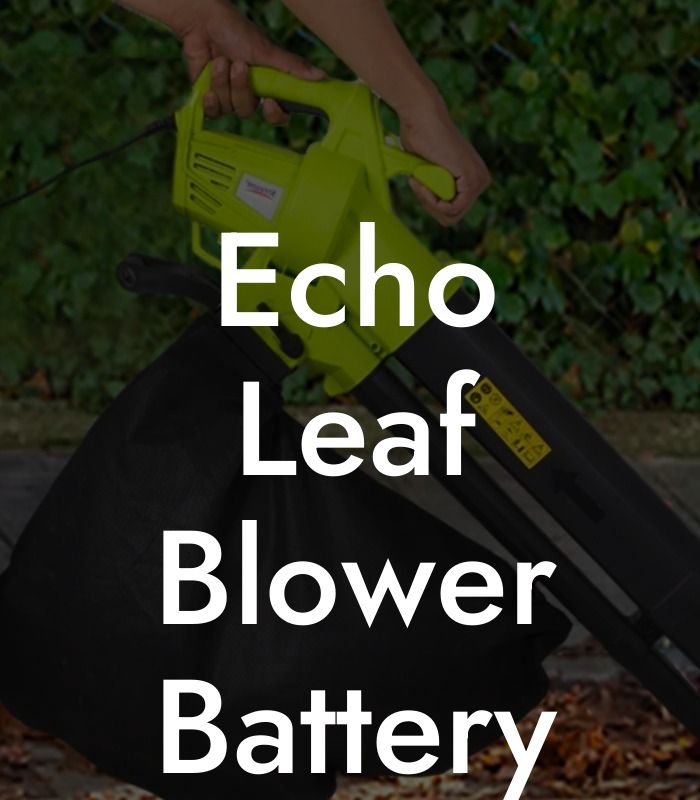 Echo Leaf Blower Battery 58v