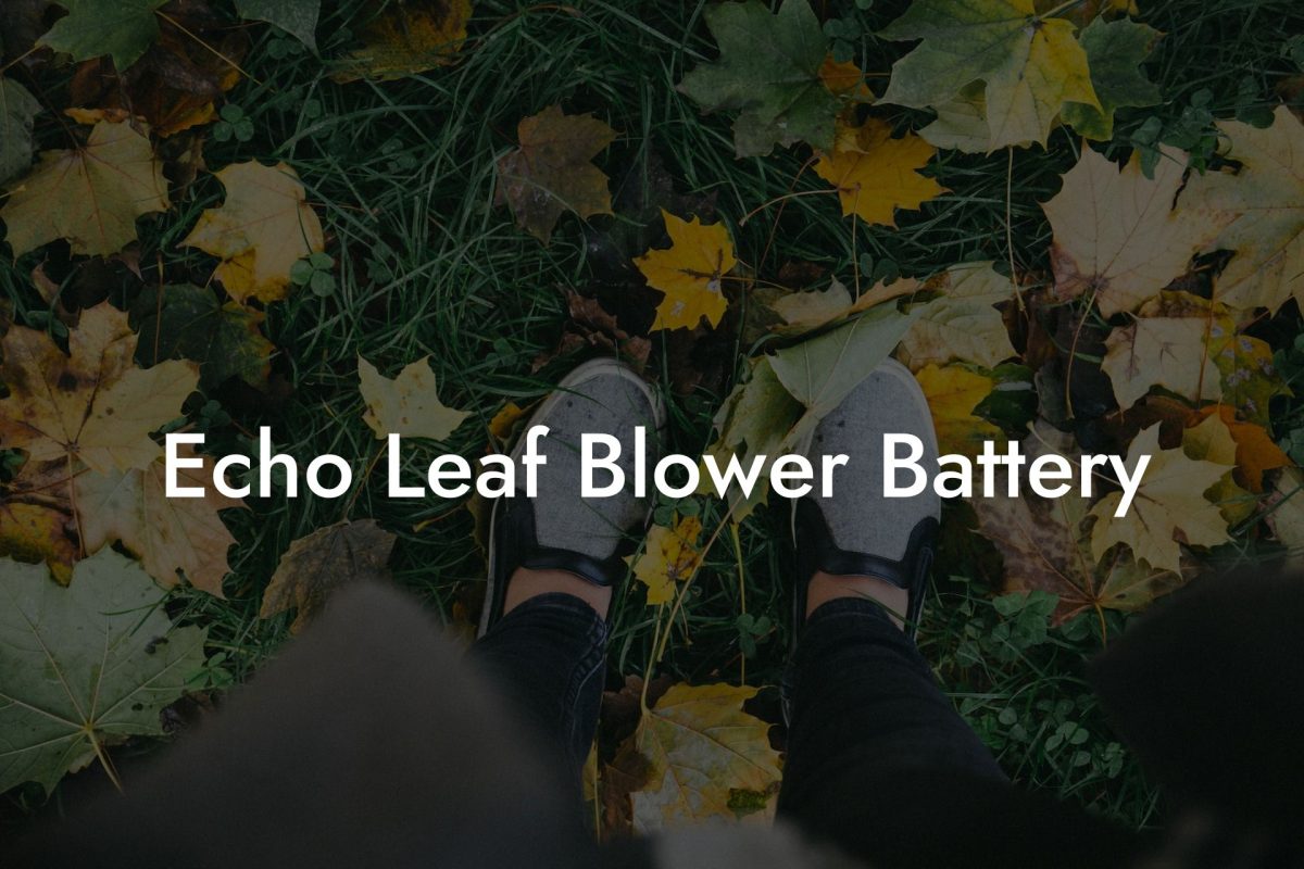 Echo Leaf Blower Battery