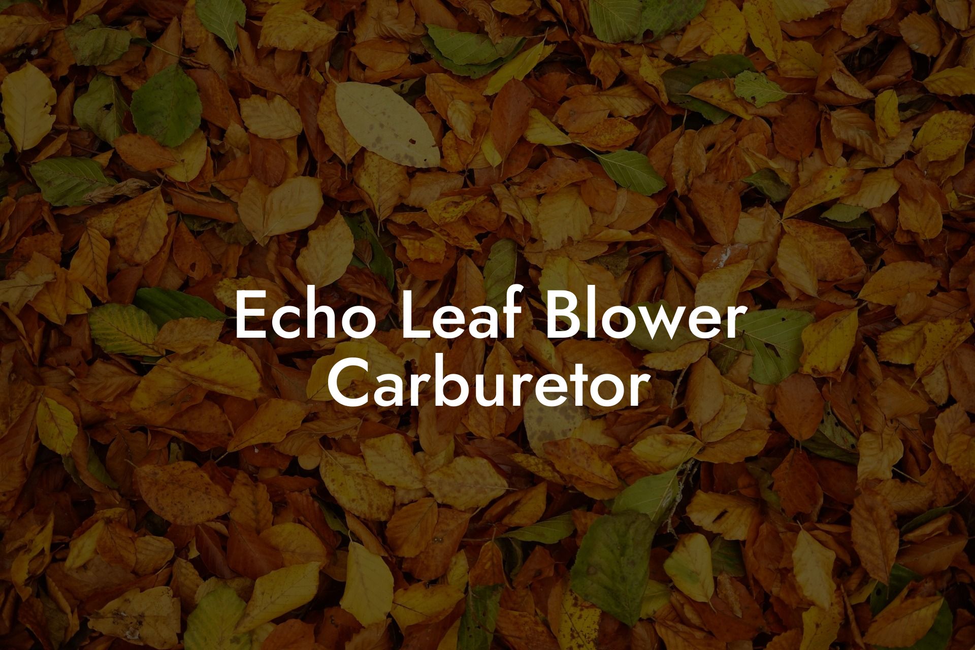 Echo Leaf Blower Carburetor