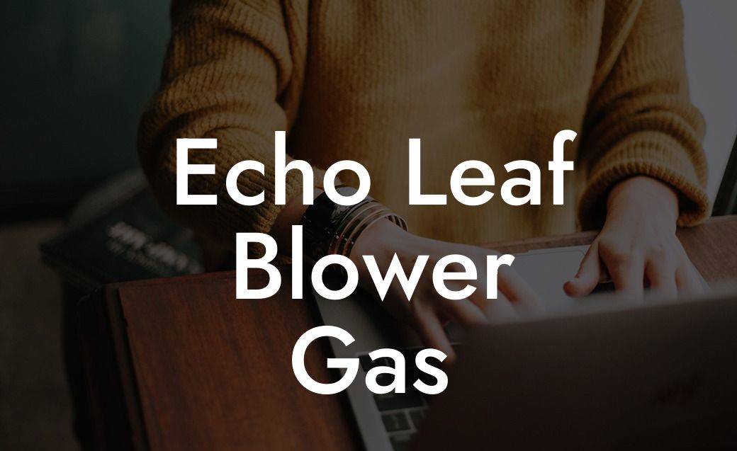 Echo Leaf Blower Gas