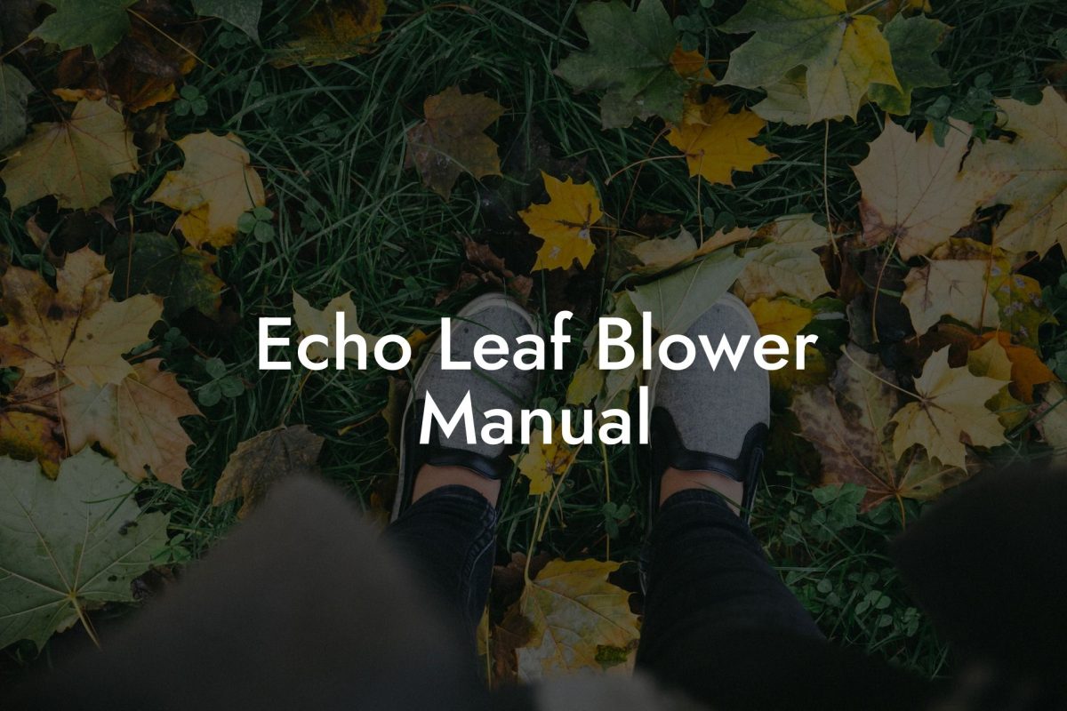 Echo Leaf Blower Manual