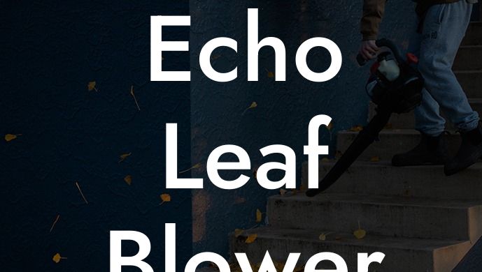 Echo Leaf Blower Not Starting