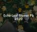 Echo Leaf Blower Pb 2520