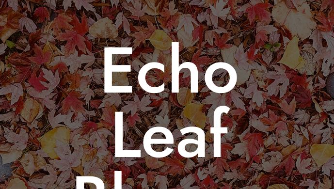 Echo Leaf Blower Pb-2520