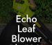 Echo Leaf Blower Pb-580t