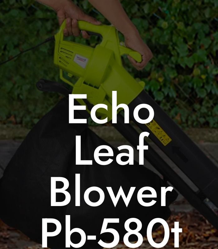 Echo Leaf Blower Pb-580t