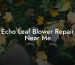 Echo Leaf Blower Repair Near Me