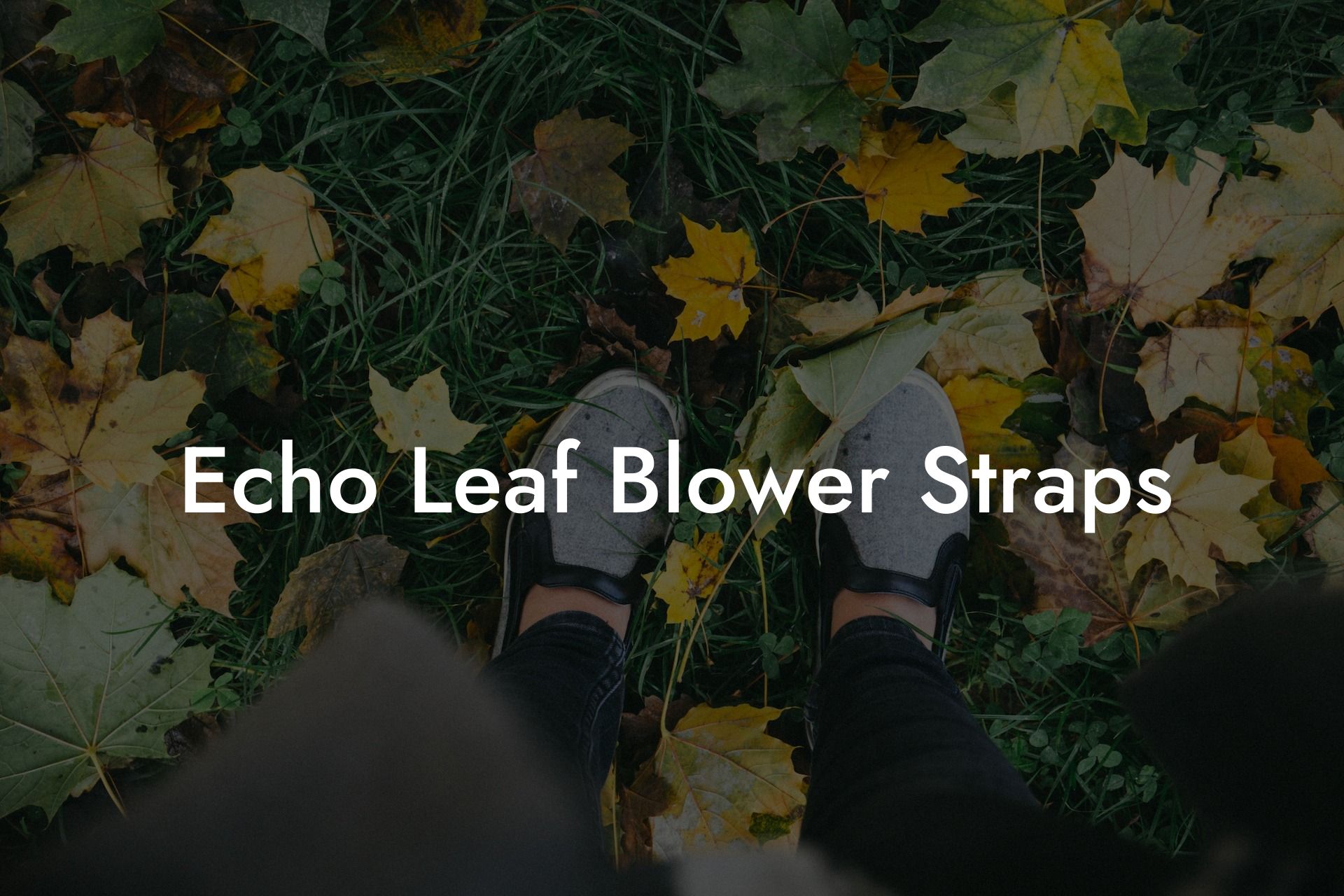 Echo Leaf Blower Straps