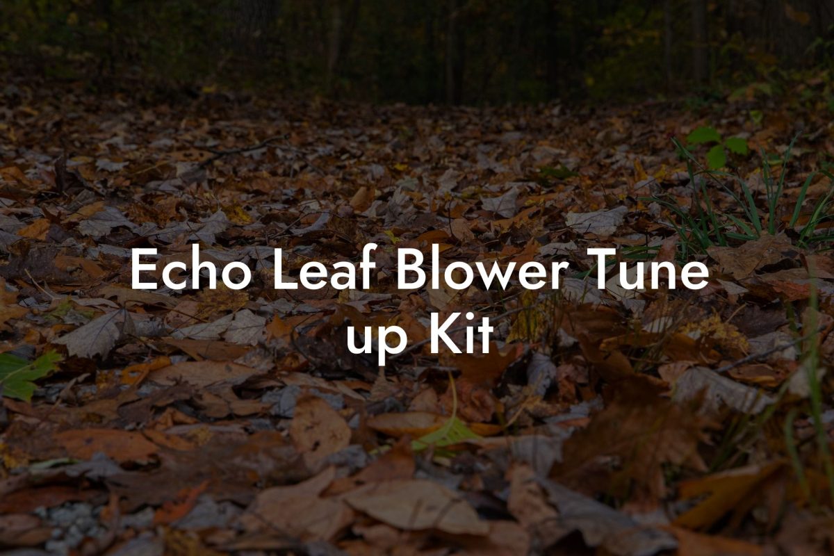 Echo Leaf Blower Tune up Kit