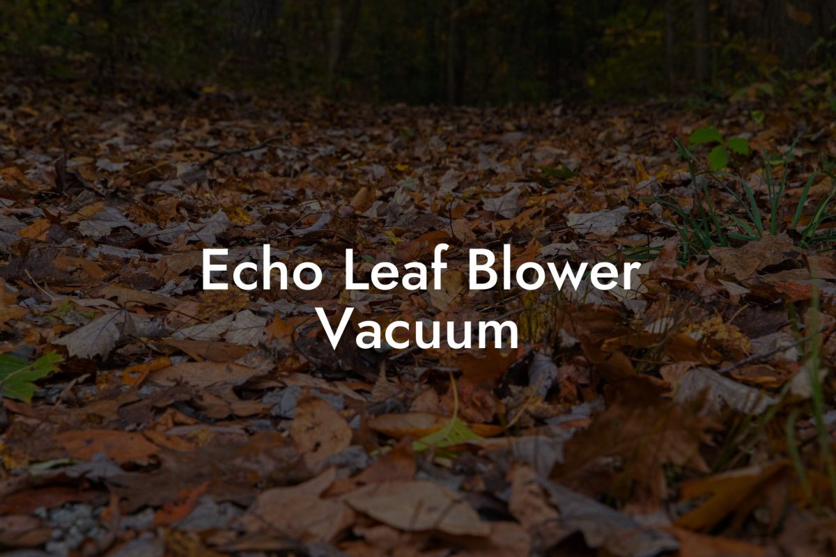 Echo Leaf Blower Vacuum