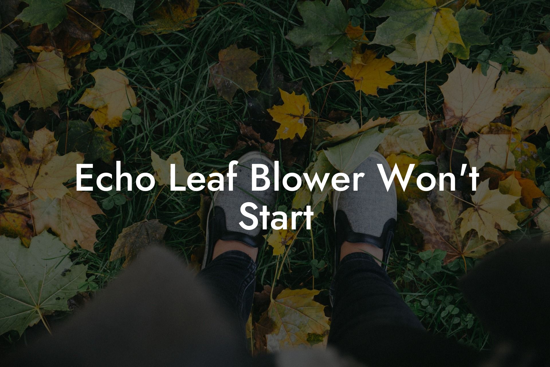 Echo Leaf Blower Won't Start