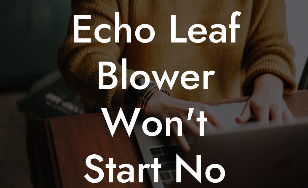 Echo Leaf Blower Won't Start No Spark