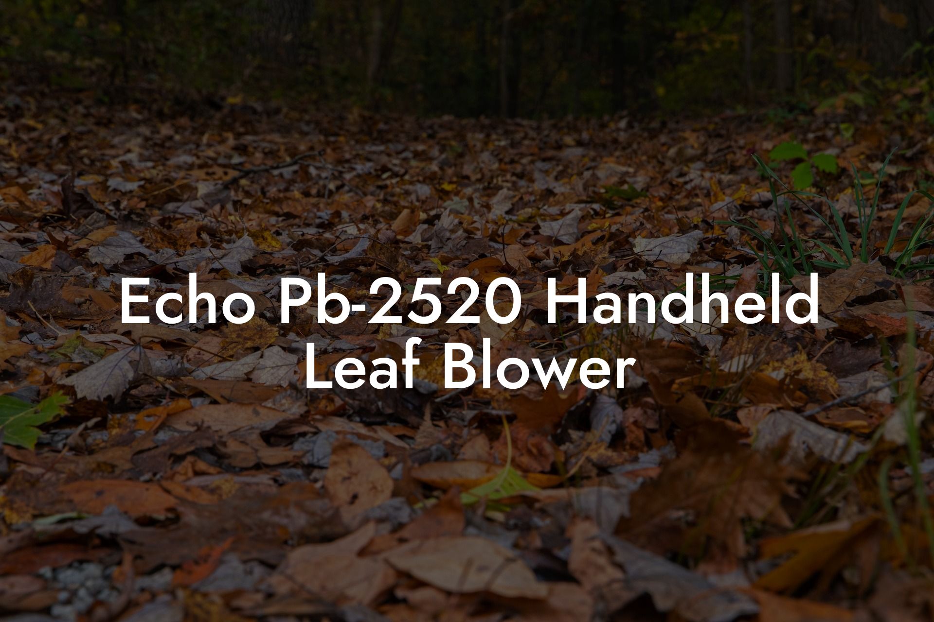 Echo Pb-2520 Handheld Leaf Blower