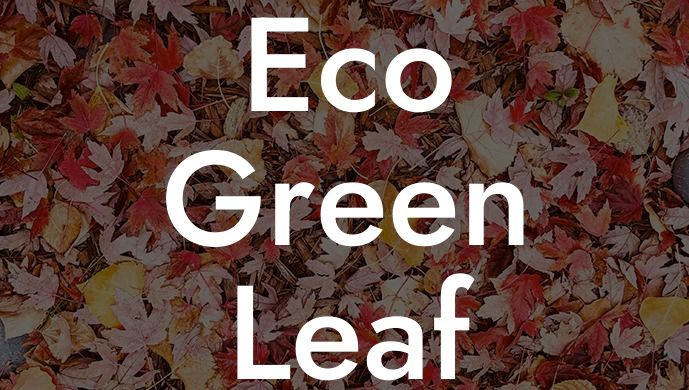 Eco Green Leaf Blower