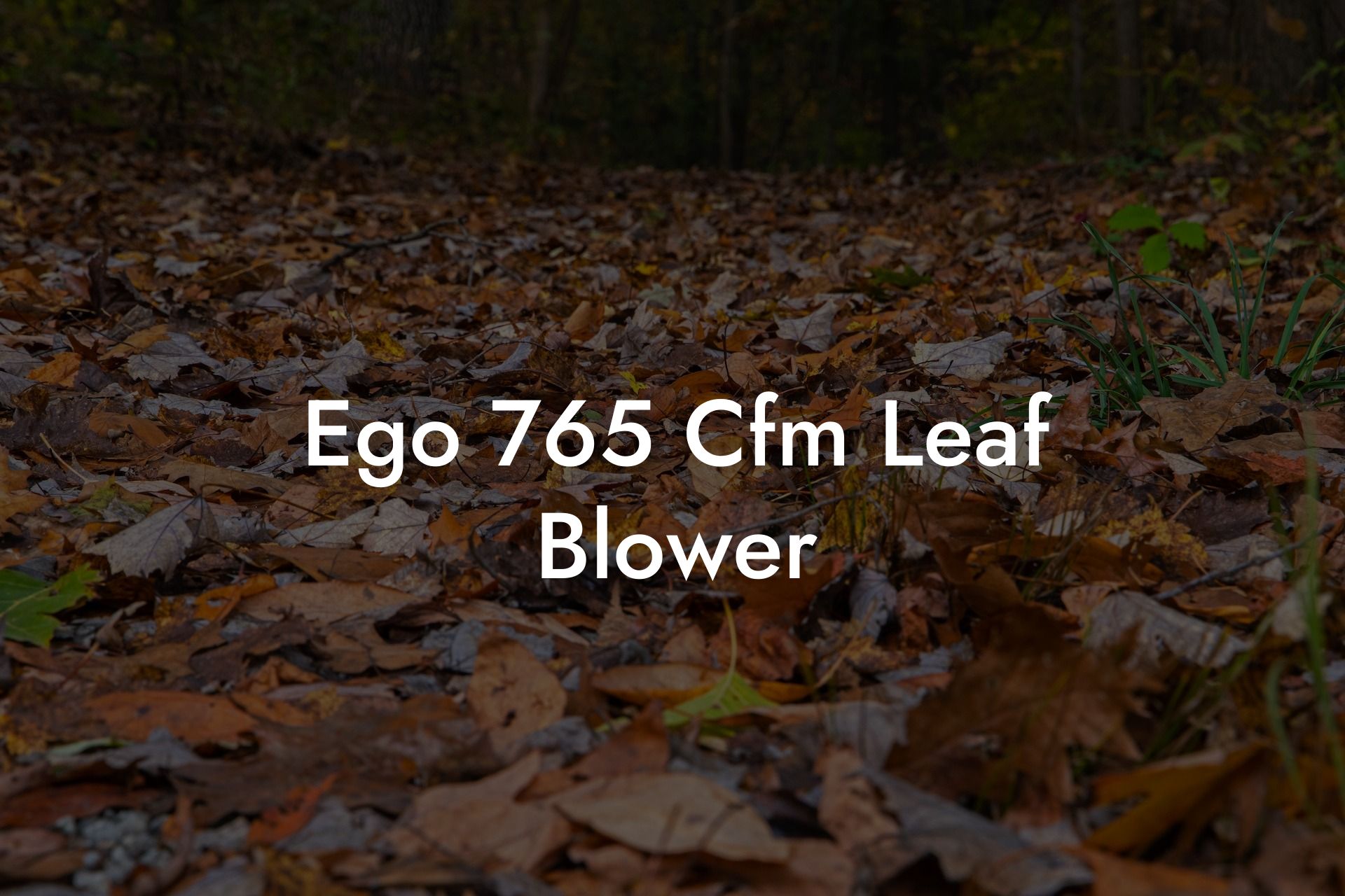 Ego 765 Cfm Leaf Blower