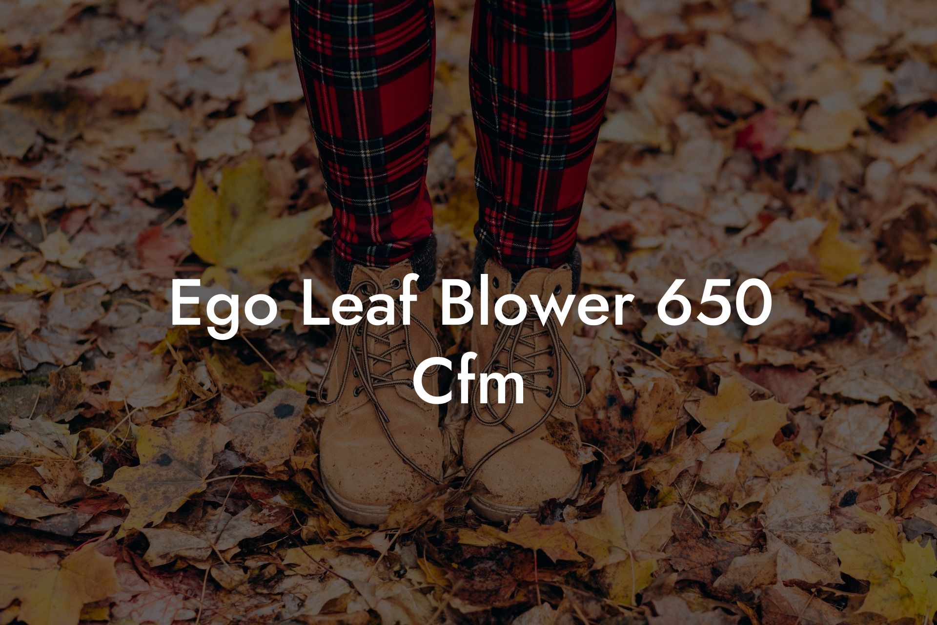 Ego Leaf Blower 650 Cfm