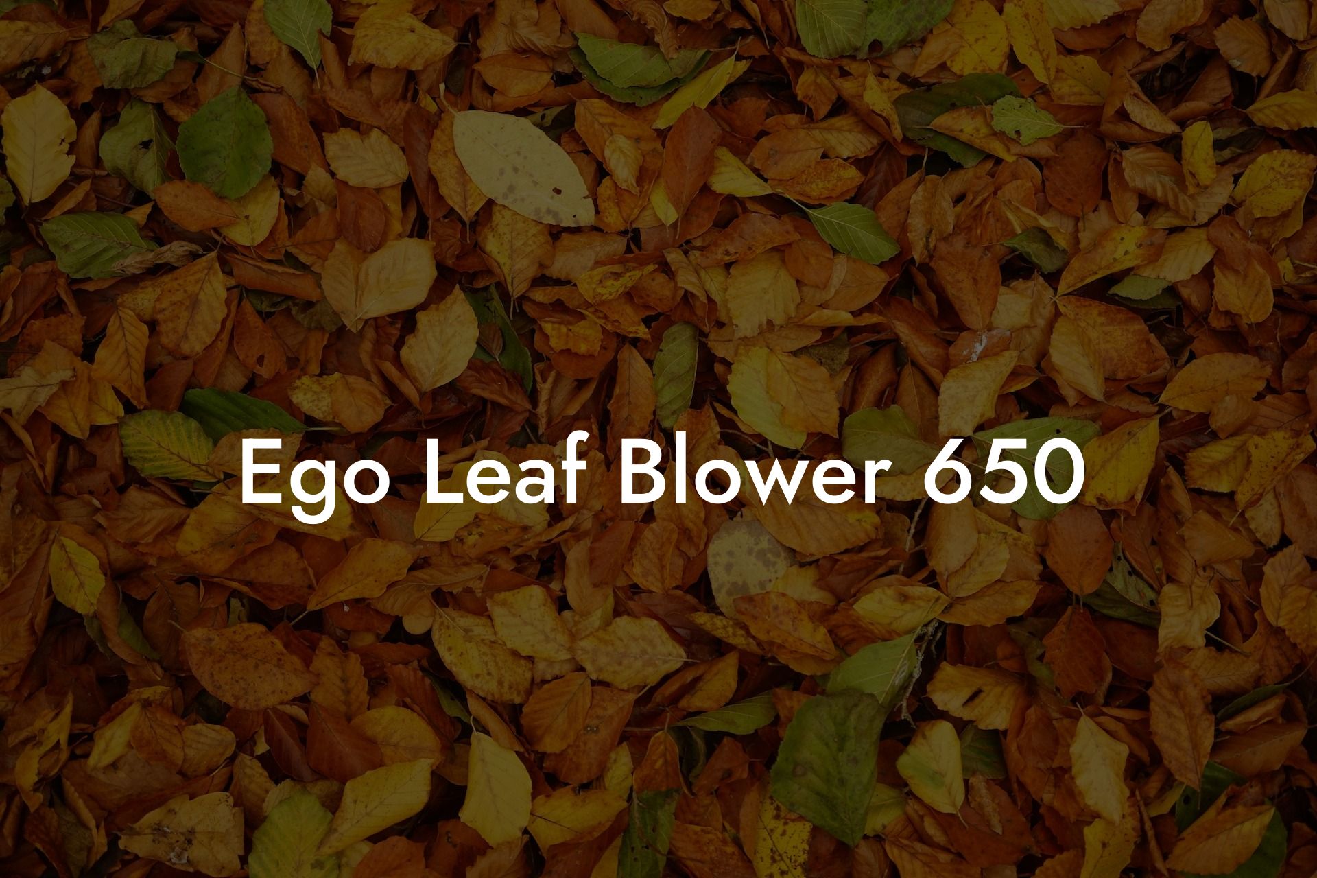 Ego Leaf Blower 650