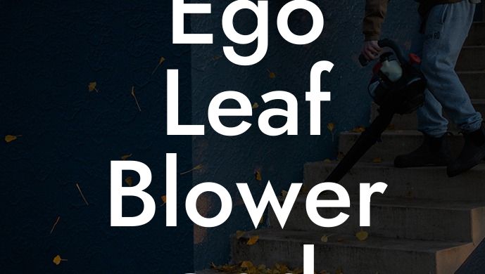 Ego Leaf Blower and Trimmer