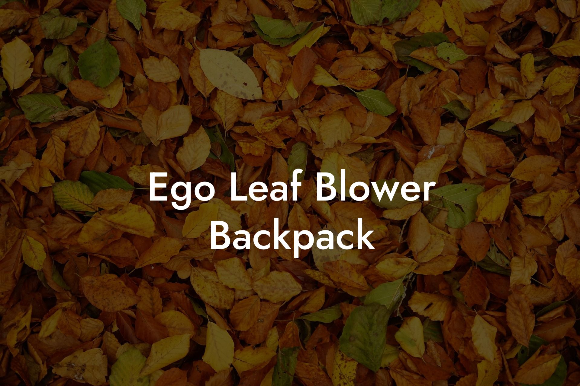 Ego Leaf Blower Backpack