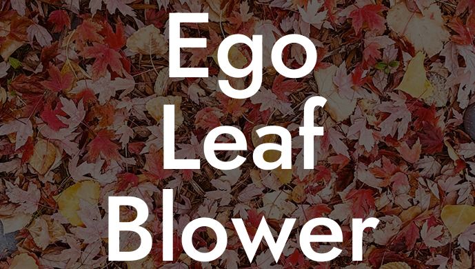 Ego Leaf Blower Lowes