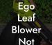 Ego Leaf Blower Not Working