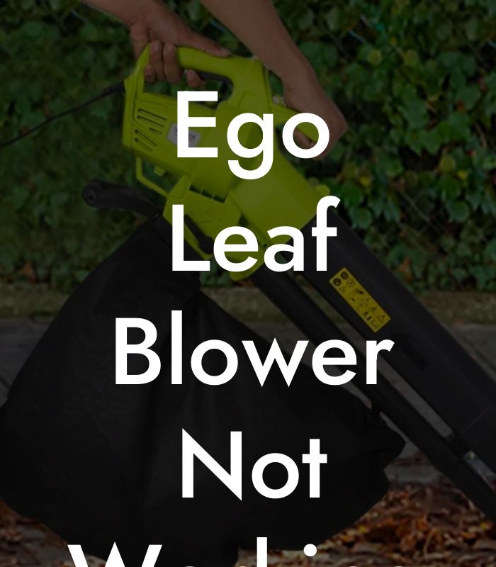 Ego Leaf Blower Not Working